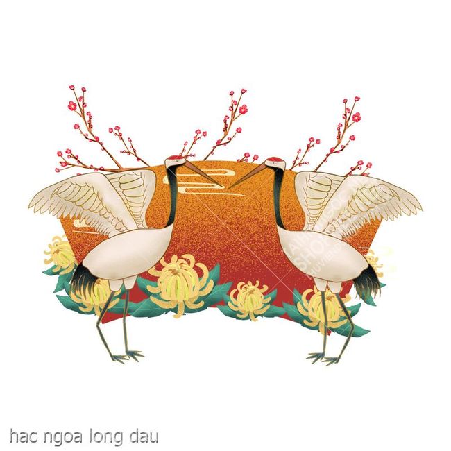 hac ngoa long dau